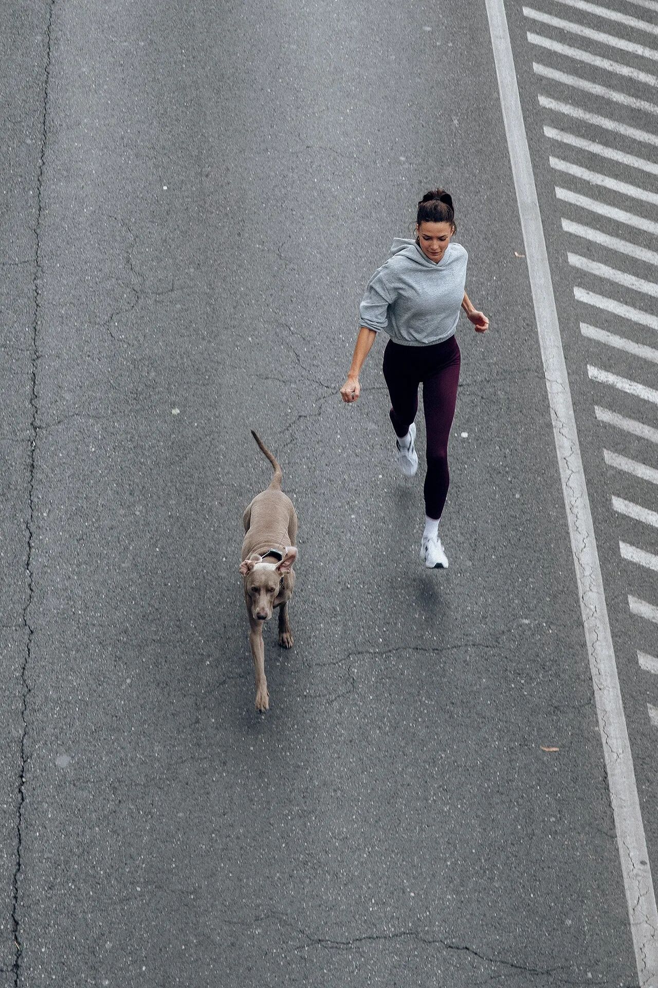 Girl running with a vizsla wearing a gray PEIKO® QuickLeash™ collar in the city