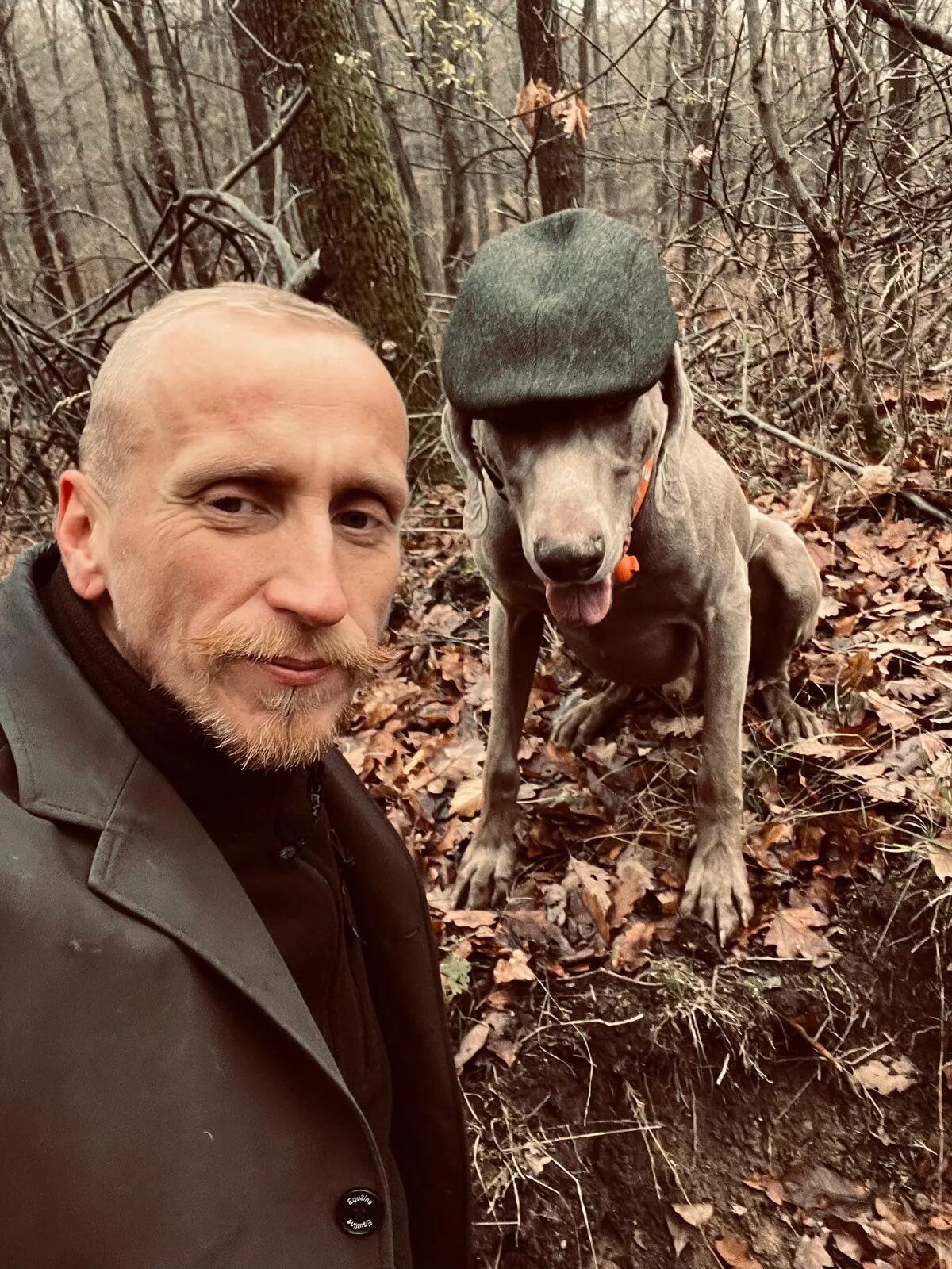 Guy with a vizsla in the forest